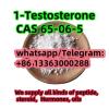 1-Testosterone cas 1965-6-5