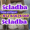 CAS 1119-51-3  5-Bromo-1-pentene  5cladba Raw Materials prec