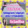 1119-51-3|5-Bromo-1-pentene| 5cladba precursor