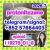 119276-01-6 protonitazene (hydrochloride) - hebei