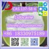 CAS 137-58-6 Lidocaine high quality good price CAS 137-58-6 Lidocaine high quality good price