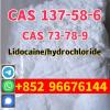 CAS 137-58-6 Lidocaine high quality good price hot sale stoc