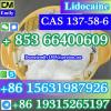 CAS 137-58-6 Lidocaine China factory sales low price high pu