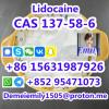 CAS 137-58-6 Lidocaine low price high purity CAS 137-58-6 Lidocaine low price high purity