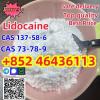 CAS 137-58-6 Lidocaine Xylocaine powder Safe Customs Clearan
