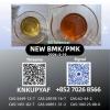 28578-16-7 Factory Direct Supply P.MK B.MK Powder Oil CAS 54