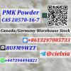 CAS 28578-16-7 PMK glycidate CAS 2503-44-8 New Pmk Oil CAS 28578-16-7 PMK glycidate CAS 2503-44-8 New Pmk Oil