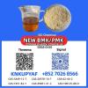 CAS 28578-16-7 PM.K Supplier | BM.K 5449-12-7 Manufacturer
