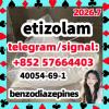 40054-69-1 etizolam