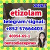 40054-69-1 etizolam