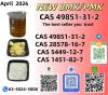 NEW BMK/PMK CAS 49851-31-2 CAS 28578-16-7In Stock