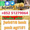 4cladba adbb percursor  5cldab 6cl bmkpmk best powder