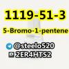 5-Bromo-1-pentene High Purity CAS 1119-51-3