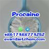 51-05-8 Procaine HCl Powder Procaine Hydrochloride Powder 51-05-8 Procaine HCl Powder Procaine Hydrochloride Powder