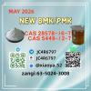 5449-12-7, 1451-82-7, 49851-31-2, 28578-16-7,New P.MK BM.K H