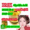 CAS 5449-12-7 New BMK Powder BMK Glycidic Acid(sodium salt)