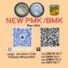 CAS5449-12-7 BMK Glycidic Acid (sodium salt) with high purit