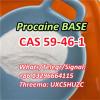 CAS 59 46 1 Procaine Safe Delivery door to door