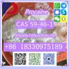 CAS 59-46-1 Procaine with high quality hot sale stock CAS 59-46-1 Procaine with high quality hot sale stock