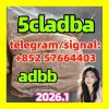 5cladba precursor 5cl-adb apvp adbb precursor 5cl rwa materi