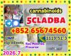 5cladba,raw material，Telegram/Signal：+852 65674560  5cladba