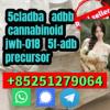 6CL-ADBB 2cl-adba 4f-adb 5CL-a-dbb 5f-mdma 5F-ADBA sgt151