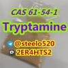 CAS 61-54-1 Tryptamine Powder Threema 2ER4HTS2