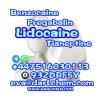 99% Lidocaine Powder CAS 137-58-6 Factory  Lidocaine powder