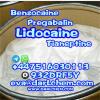 99% Lidocaine Powder CAS 137-58-6 Factory  Lidocaine powder