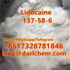 Factory Supply 99.9% Pure Lidocaine CAS 6108-05-0 Lidocaine