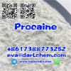 Factory Supply 99% Pure Procaine Procaina Base Powder CAS 59
