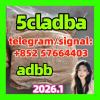 adbb 5cladba powder 5cladba raw material 5CL-ADB-A precursor
