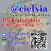 Safe Delivery CAS 28578-16-7 PMK glycidate CAS 2503-44-8 New Safe Delivery CAS 28578-16-7 PMK glycidate CAS 2503-44-8 New
