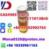 cas49851-31-2