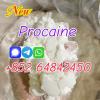 cas59-46-1 procaine base  procaine powder  Procaine suppiler