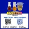 Reliable stock pm.k 28578-16-7 with stock BM.K 5449-12-7