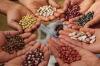 Sell ​​beans Bandolya, White round, Kidni, Mavka, etc.