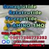 Semaglutide 5-amino-1mq retatrutide 910463-68-2  hot sale