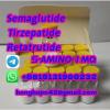 Peptide Semaglutide CAS 910463-68-2 with High Purity 99.9%
