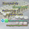 Peptide Semaglutide CAS 910463-68-2 with High Purity 99.9%