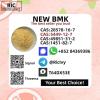 Best Price CAS 49851-31-2 High Purity B.MK