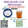 New BMK Glycidic Acid 99% White powder CAS 5449-12-7 