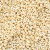 farmerscooperativelimited.com Arabica Coffee Beans Exporter