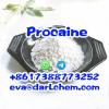 Pharmaceutical Grade Raw Procaine Base Procaine HCl CAS 51-0 Pharmaceutical Grade Raw Procaine Base Procaine HCl CAS 51-0