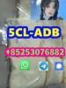 high quality 4cl 4fadb 5cladb 6cl adbb sgt78 euty
