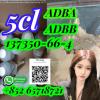 high quality 5cladbb adba,137350-66-4 high quality 5cladbb adba,137350-66-4