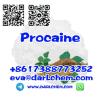 Wholesale Procaine HCl CAS 51-05-8 Pharmaceutical Anesthetic