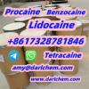 Lidocaine Benzocaine Procaine raw Powder 137-58-6 99.9% Stro