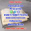 Lidocaine Benzocaine Procaine raw Powder 137-58-6 darl Suppl
