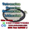 Lidocaine Benzocaine Procaine raw Powder 137-58-6 High Quali